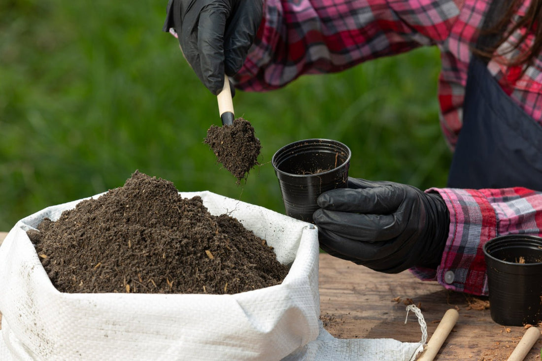 Fertilizer vs Compost: Which is Best for Your Plants? - TheHardenGarden