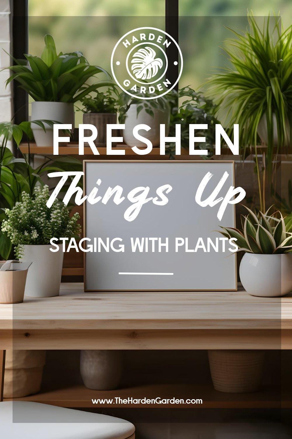 Bring some freshness to the room: staging your room with live plants - TheHardenGarden