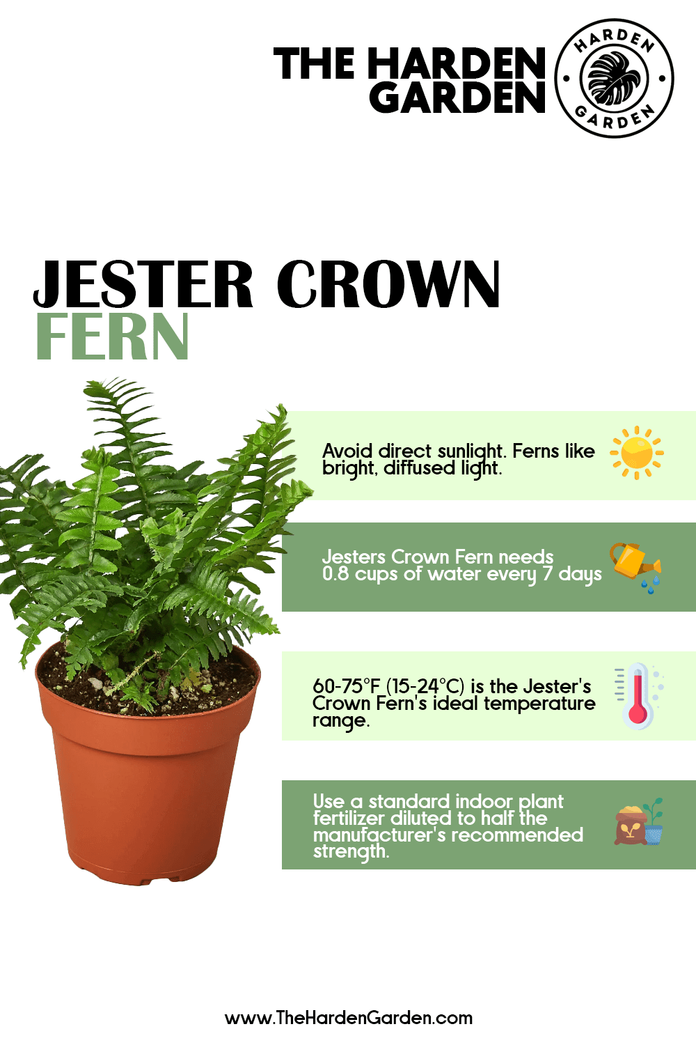 Jester Crown—a Colorful Twisted Indoor Garden Crown - TheHardenGarden