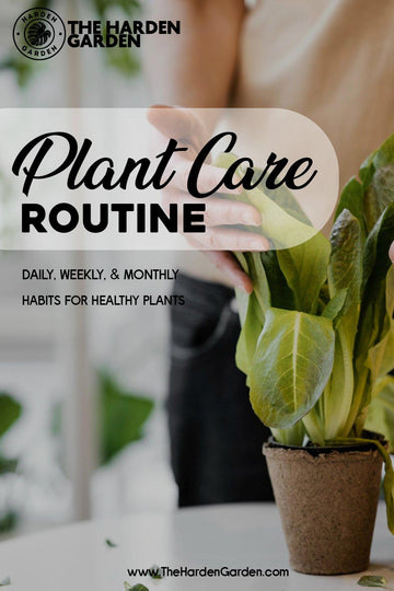 Plant Care Routine: Your Ultimate Guide to a Thriving Garden Oasis - TheHardenGarden