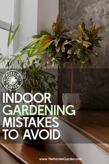 Plant Parenthood Problems? Indoor Gardening Mistakes to Avoid (And How to Fix Them!) - TheHardenGarden