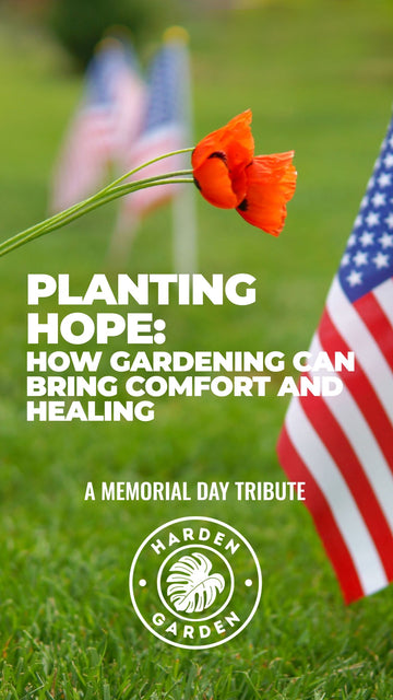 Planting Hope: How Gardening Can Bring Comfort and Healing on Memorial Day - TheHardenGarden