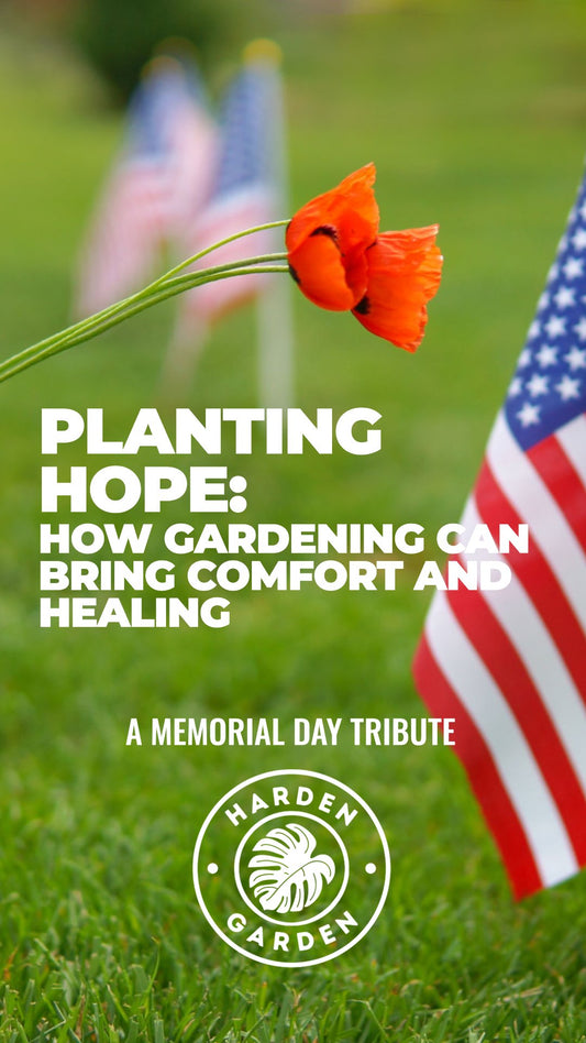 Planting Hope: How Gardening Can Bring Comfort and Healing on Memorial Day - TheHardenGarden