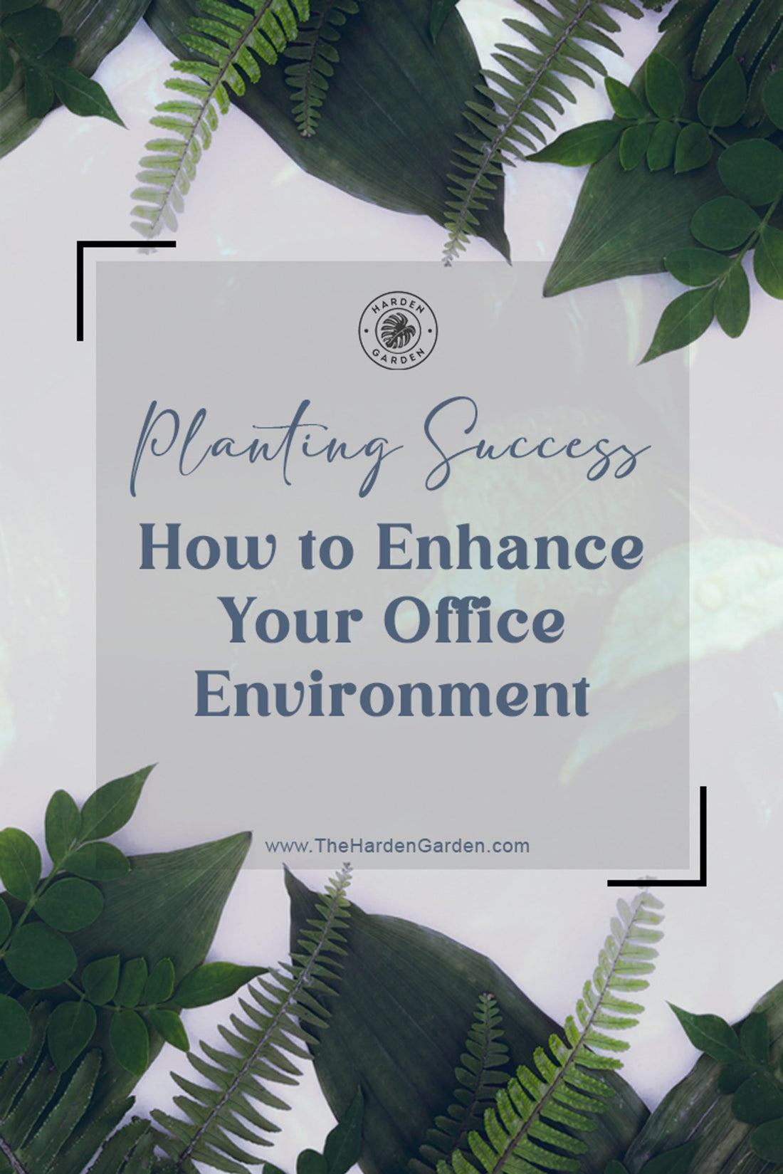 Planting Success: How to Enhance Your Office Environment - TheHardenGarden