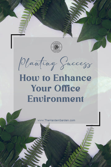 Planting Success: How to Enhance Your Office Environment - TheHardenGarden