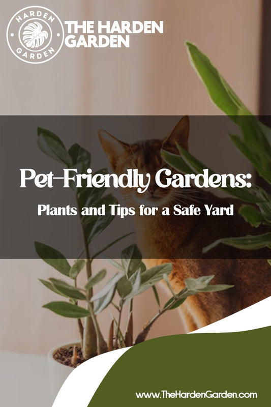 Purr-fectly Safe Plants to Unleash Your Inner Plant Parent (Without Worrying About Your Fur Babies!) - TheHardenGarden