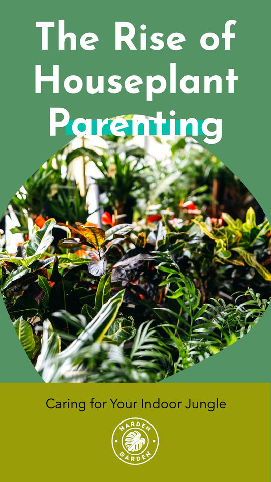 The Rise of Houseplant Parenting: Caring for Your Indoor Jungle - TheHardenGarden