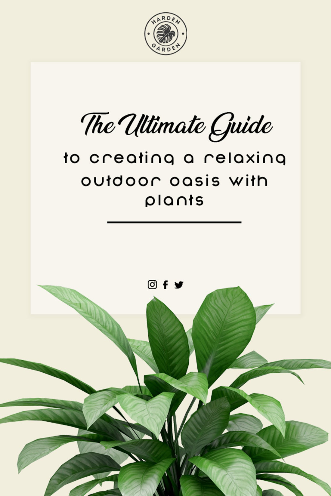 The Ultimate Guide to Creating a Relaxing Outdoor Oasis with Plants - TheHardenGarden