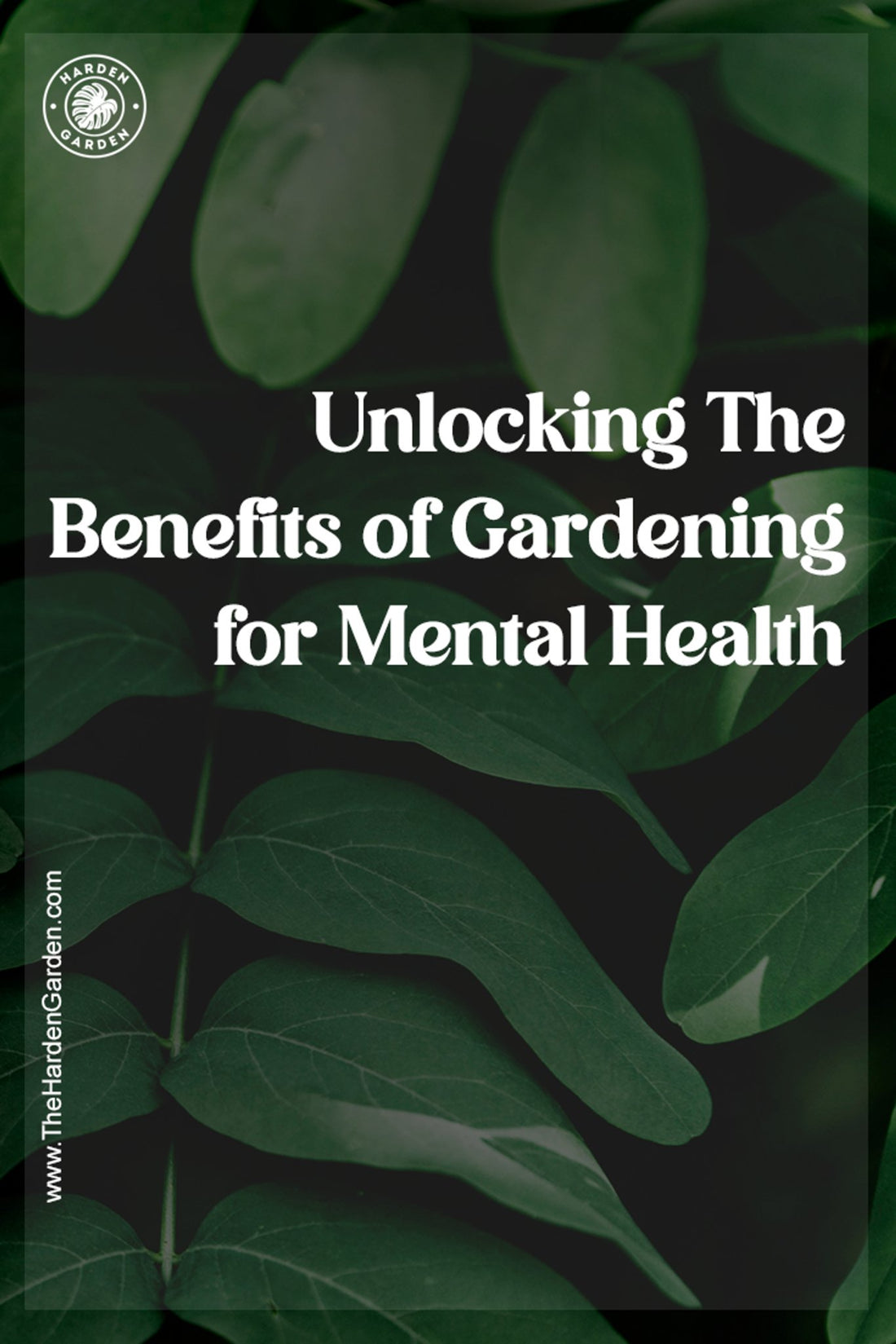 Unlocking the Benefits of Gardening for Mental Health - TheHardenGarden