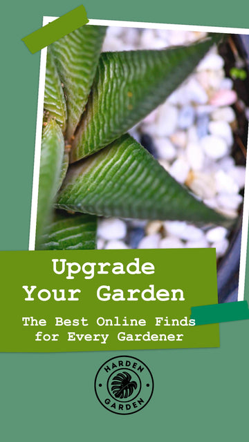 Upgrade Your Garden: The Best Online Finds for Every Gardener - TheHardenGarden