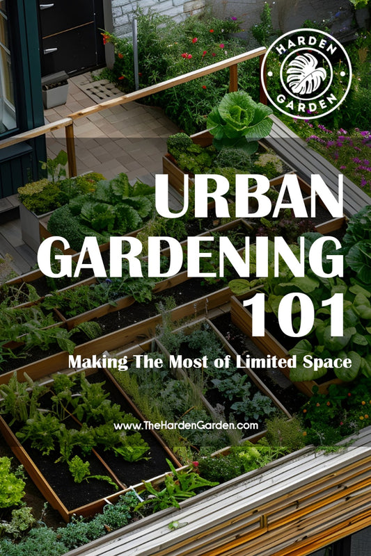 Urban Gardening 101: Making the Most of Limited Space - TheHardenGarden