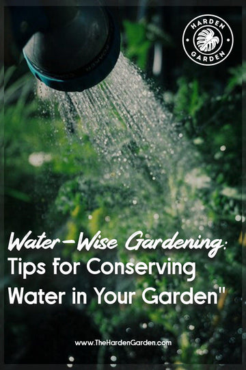 Water-Wise Gardening: Tips for Conserving Water in Your Garden - TheHardenGarden