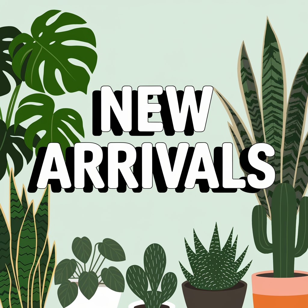 New Arrivals