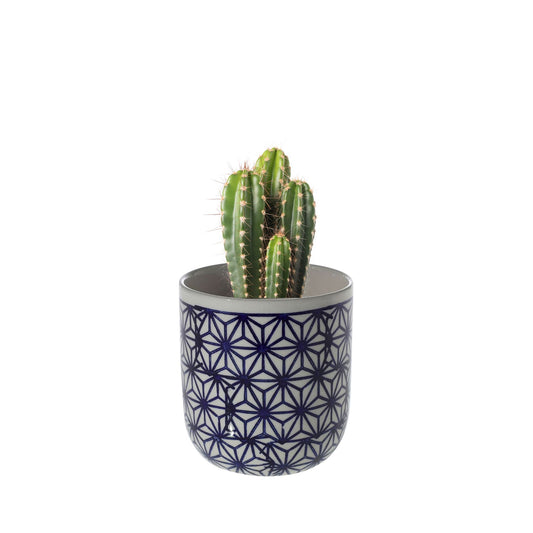 Small Dolly Pot, Blue-White