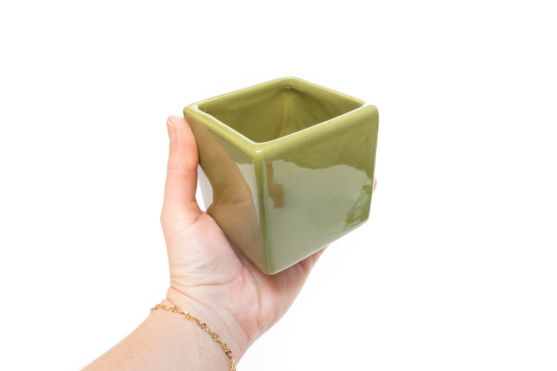 Air plant Gift Set - Two Ceramic Cube Containers with Tillandsia Xerographica Mini and Juncea - TheHardenGarden