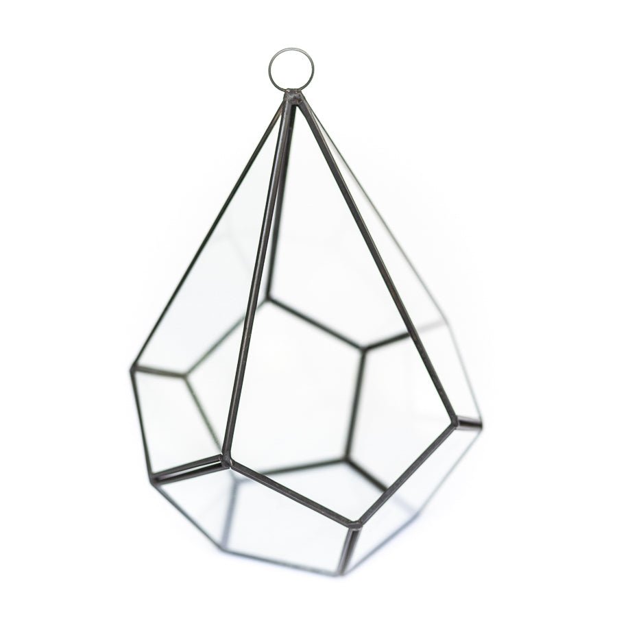 DIY Glass Diamond Terrarium - TheHardenGarden