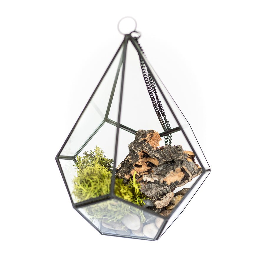 DIY Glass Diamond Terrarium - TheHardenGarden