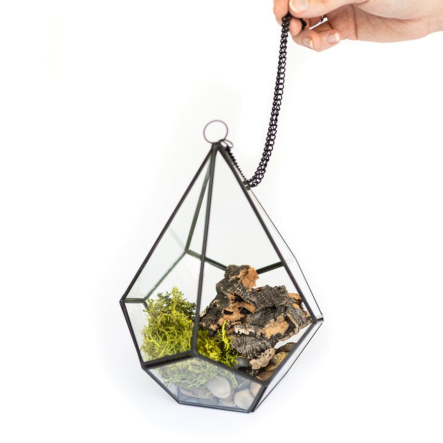 DIY Glass Diamond Terrarium - TheHardenGarden