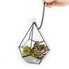 DIY Glass Diamond Terrarium - TheHardenGarden