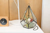 DIY Glass Diamond Terrarium - TheHardenGarden
