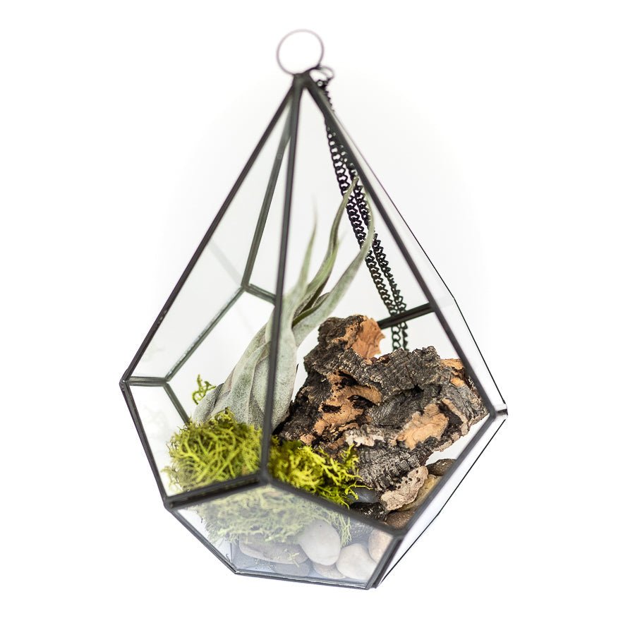 DIY Glass Diamond Terrarium - TheHardenGarden