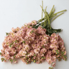 Flower Seedlings Bundle - TheHardenGarden