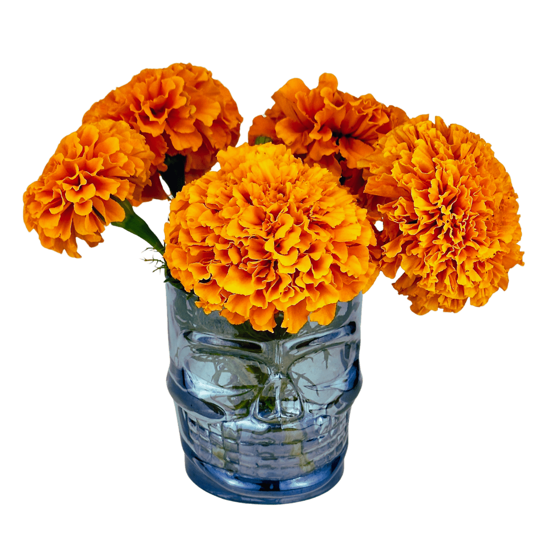 Flower Seedlings Bundle - TheHardenGarden