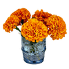 Flower Seedlings Bundle - TheHardenGarden