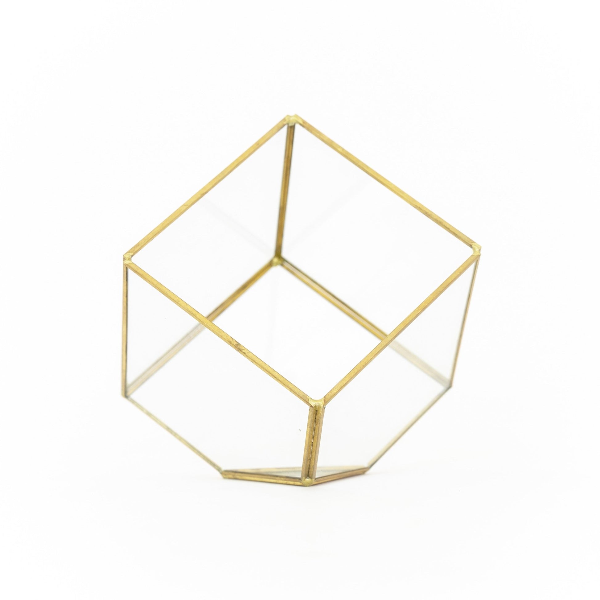 Heptahedron Geometric Glass Terrarium with Tillandsia Xerographica Air Plant - TheHardenGarden