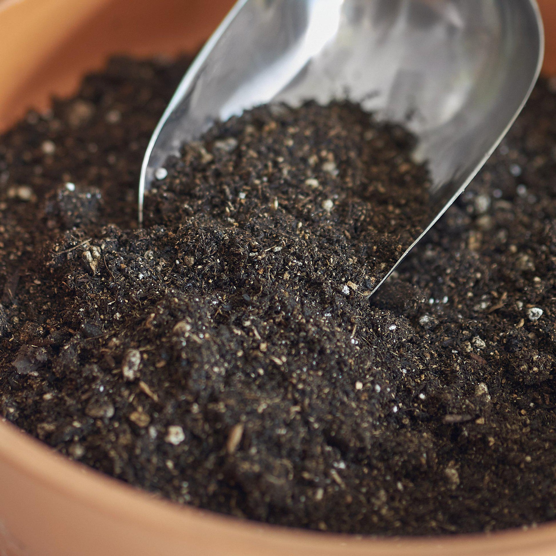 Indoor Plant Potting Soil - Puck - TheHardenGarden