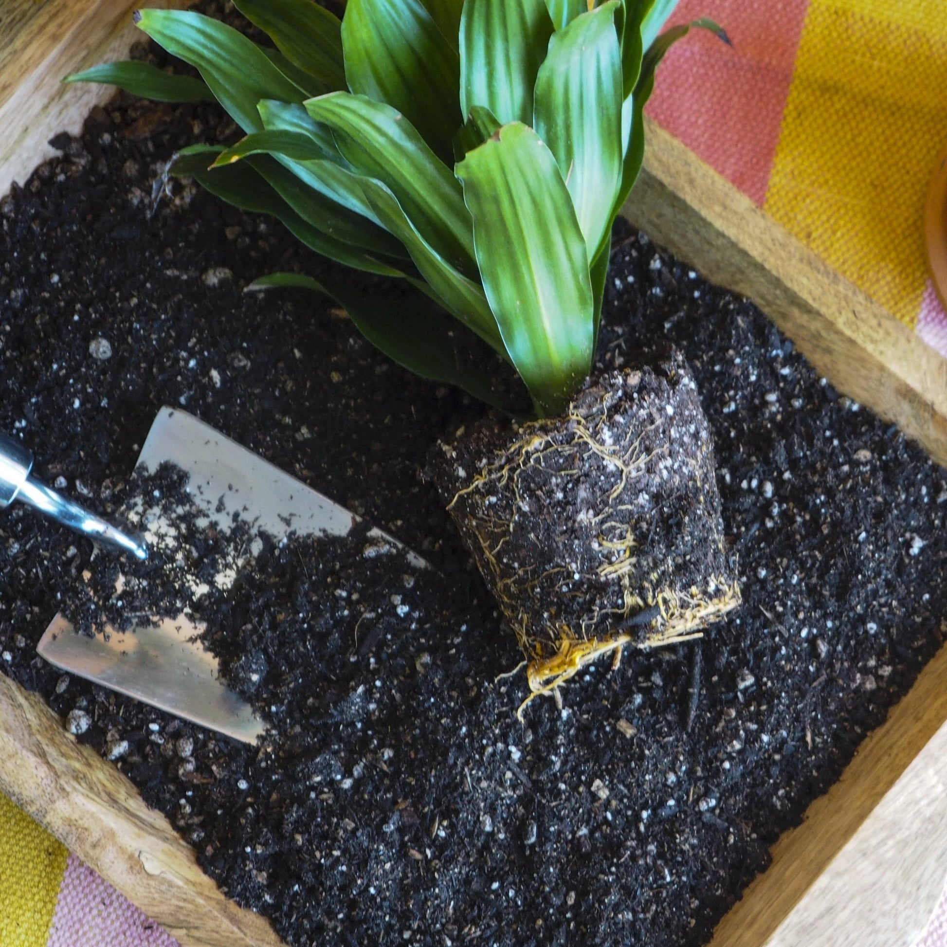 Indoor Plant Potting Soil - Puck - TheHardenGarden