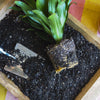 Indoor Plant Potting Soil - Puck - TheHardenGarden