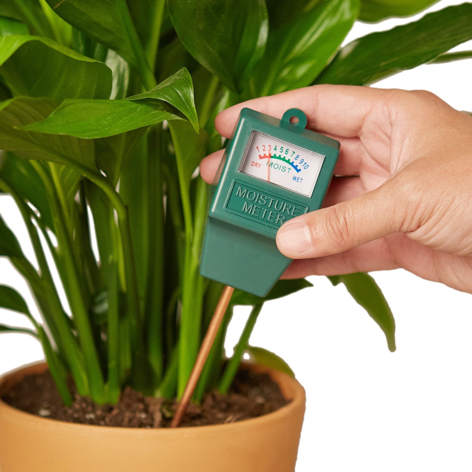 Moisture Meter - TheHardenGarden