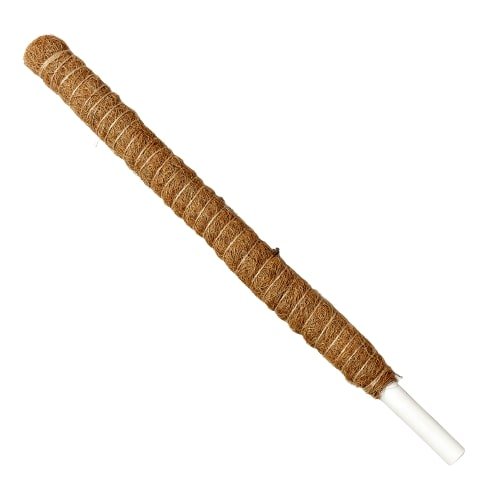 Moss Pole - 22in. - TheHardenGarden