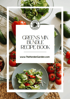 Spring Menu Greens Mix Seedlings Recipe E-Book