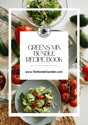 Spring Menu Greens Mix Seedlings Recipe E - Book - TheHardenGarden