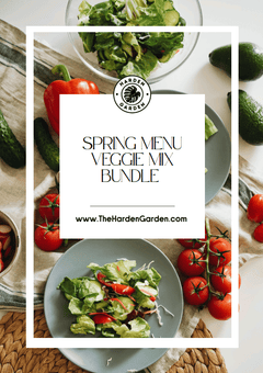 Spring Menu Veggie Mix Seedlings Recipe E-Book