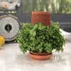Teva planter : Self Watering Planter - TheHardenGarden