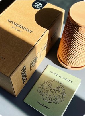 Teva planter : Self Watering Planter - TheHardenGarden