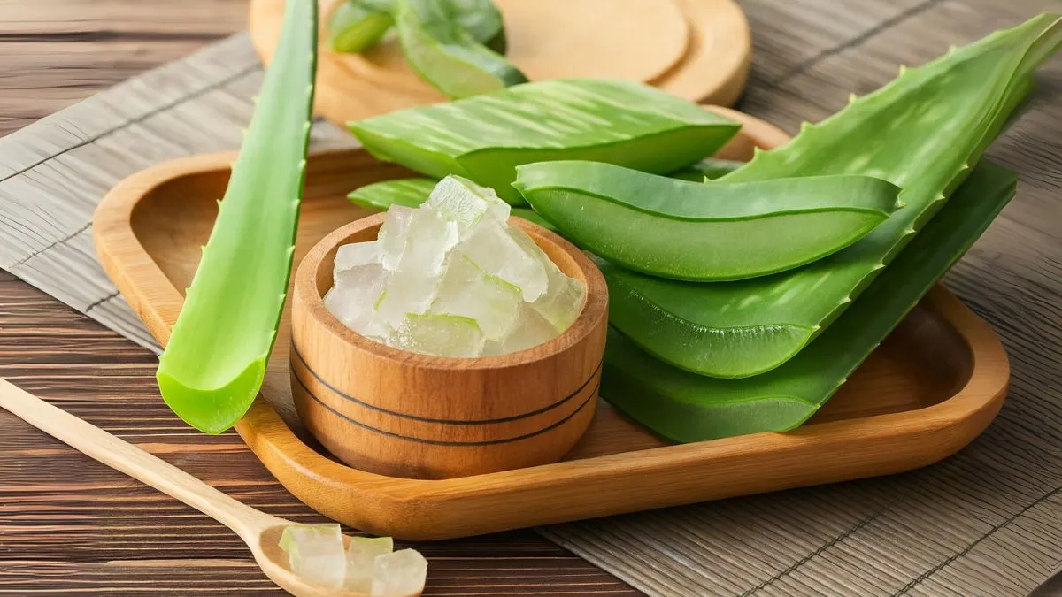 The Incredible Effects of Aloe Vera on Your Body