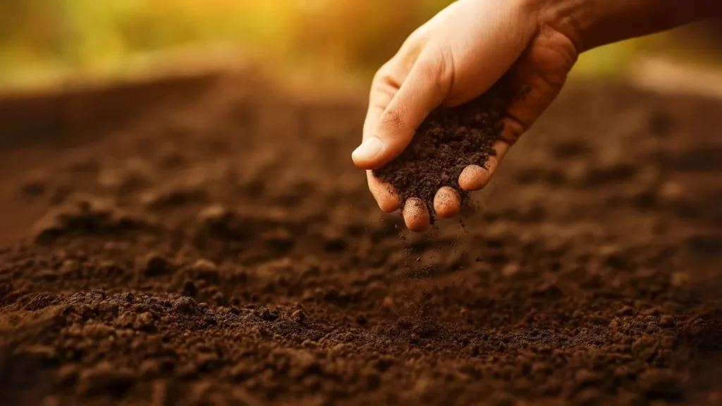 How to Enrich Your Garden Soil Naturally for Bigger, Better Harvests