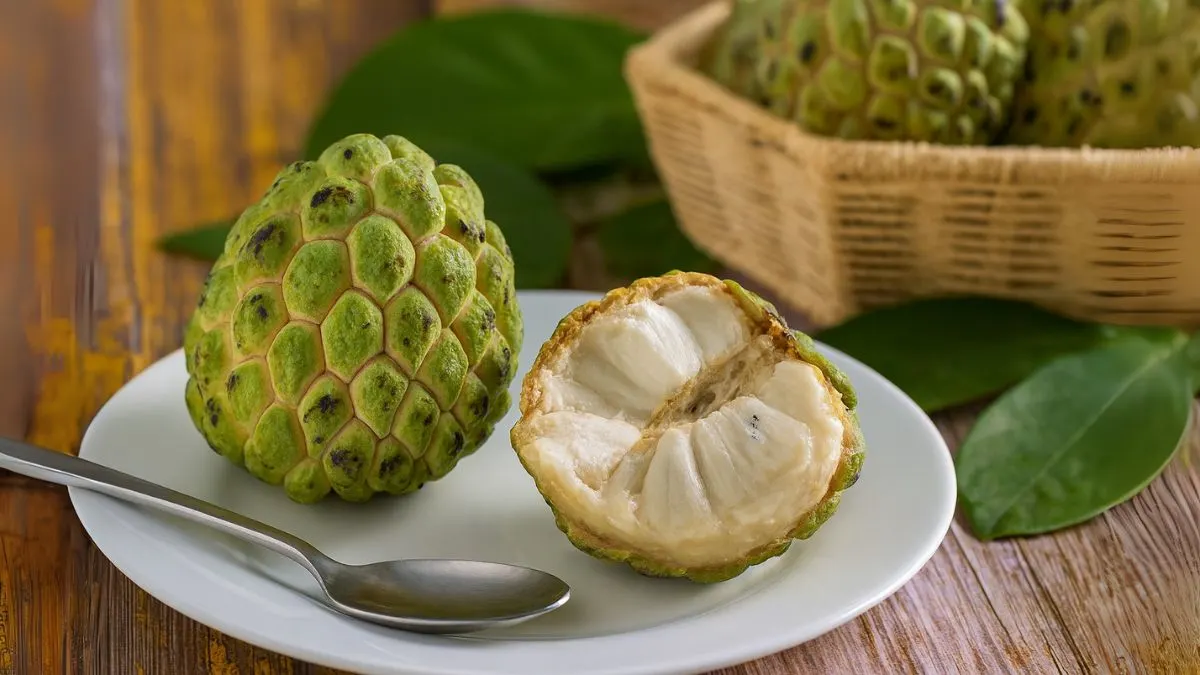 Surprising Places Where Custard Apples Grow Best