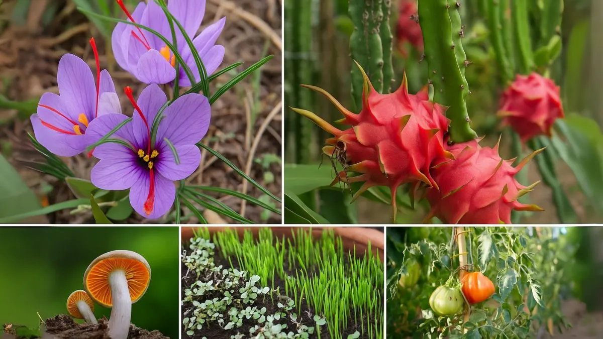 5 High-Profit Vegetables Farmers Should Start Growing in 2025