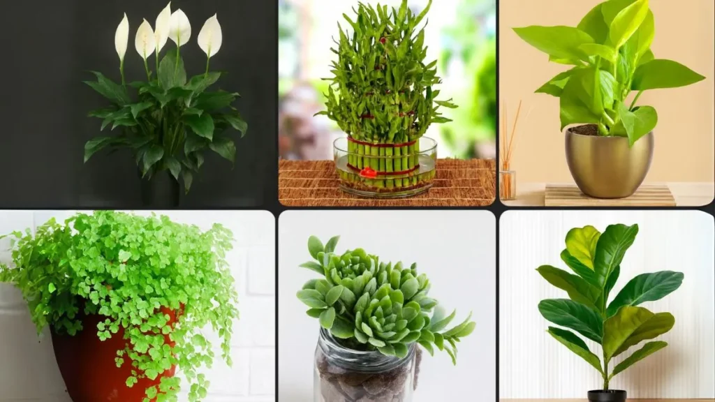 Real Vibes, Zero Effort: The Best Faux Plants for Modern Homes