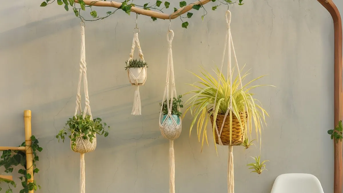 Struggling with Hanging Plants? This Is What You're Doing Wrong
