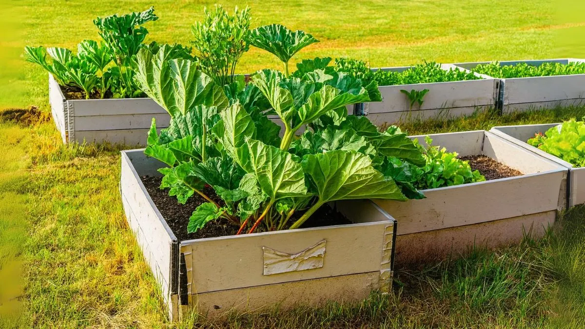 Perennial Vegetables That Thrive in Indian Climates