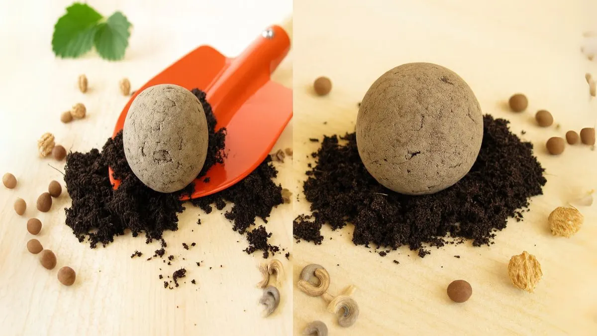 Seed Bombs: The Dirt-Cheap Way to Grow Flowers Anywhere