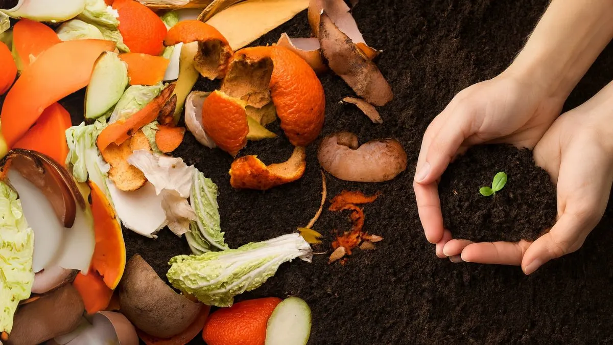 Plant Supplements That Work Better Than Store-Bought Fertilizers